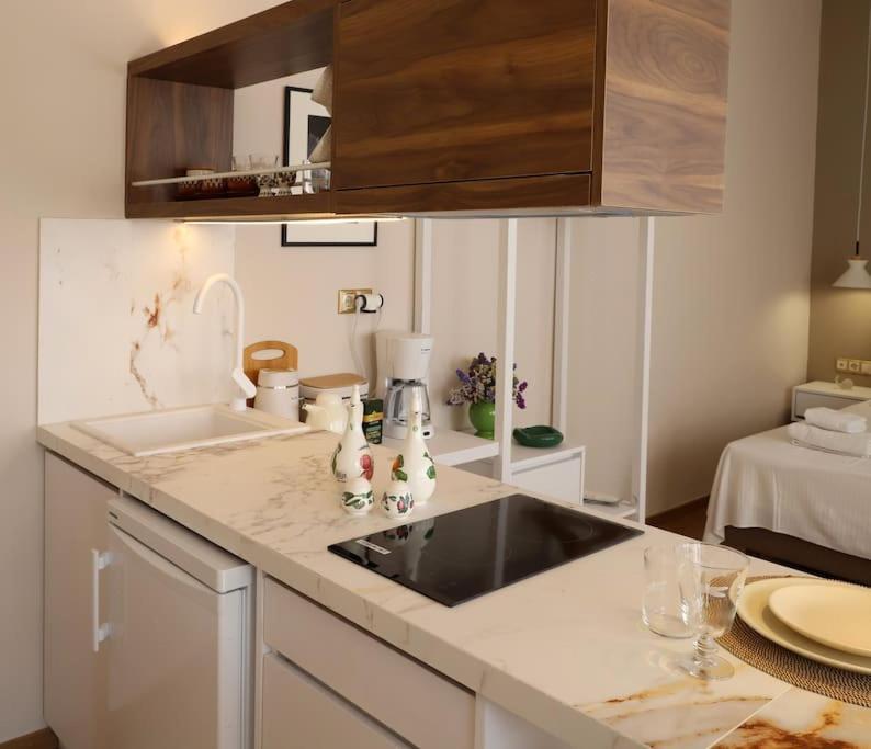 Olvar Penthouse Apartment Athens