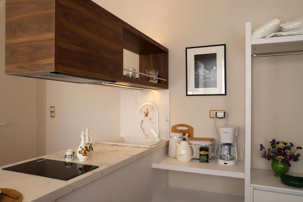 Olvar Penthouse Apartment Athens
